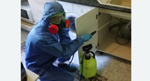 Уничтожение муравьев в квартире. Приморско-Ахтарск