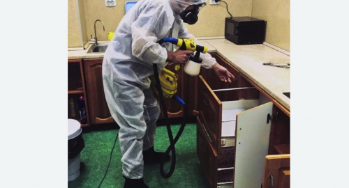 Дезинсекция квартиры. Приморско-Ахтарск