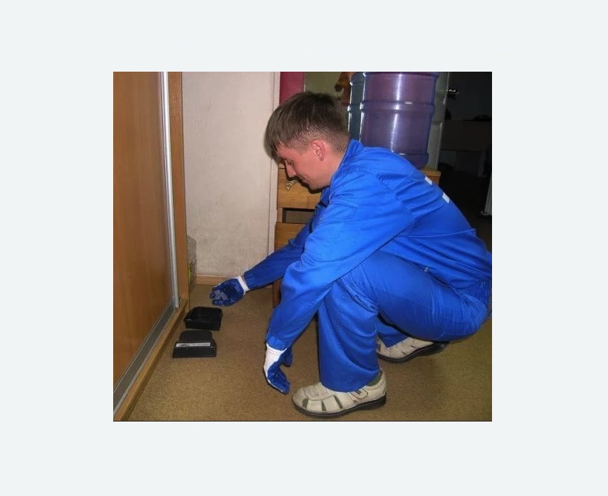 Дератизация крыс в Приморско-Ахтарске