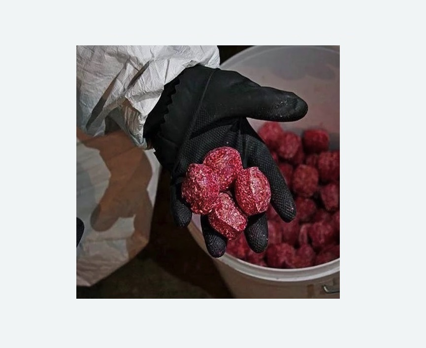 Обработка от крыс в Приморско-Ахтарске