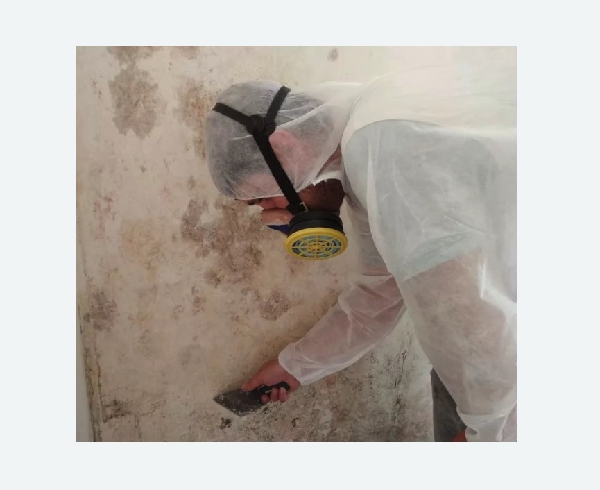 Обработка стен от плесени в Приморско-Ахтарске