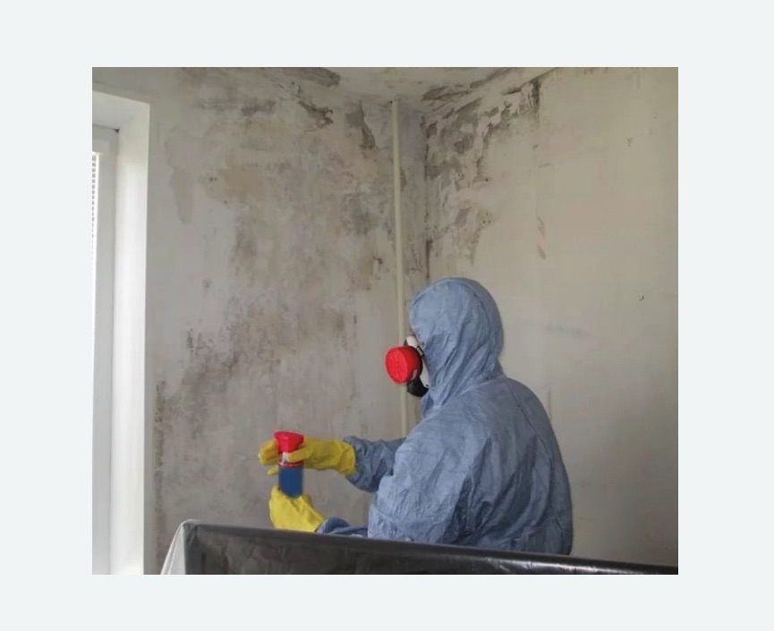 Удаление плесени в квартире в Приморско-Ахтарске