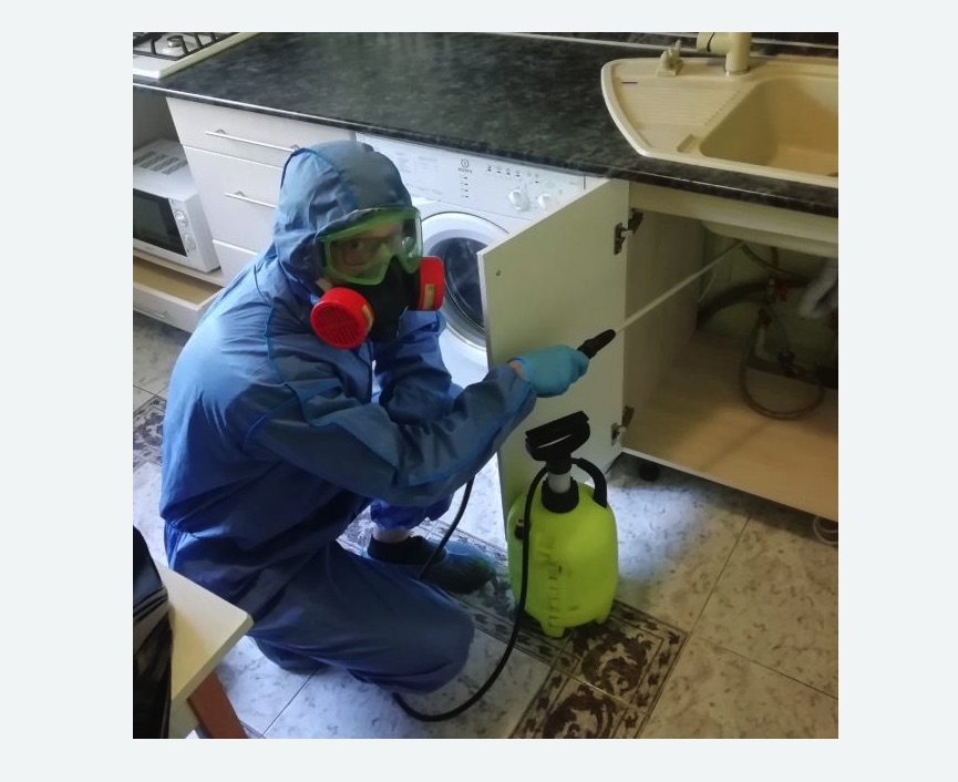 обработка от муравьев в квартире в Приморско-Ахтарске