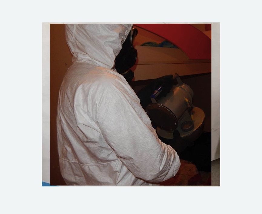 Дезинфекция от муравьев в Приморско-Ахтарске